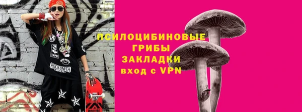 эйфоретик Гусев