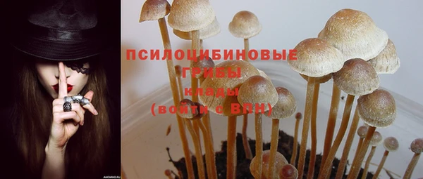 mix Гусиноозёрск