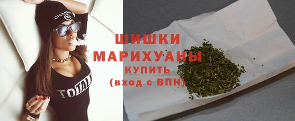 mix Гусиноозёрск