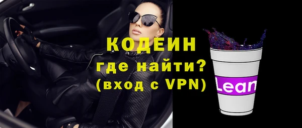 хмурый Дмитриев