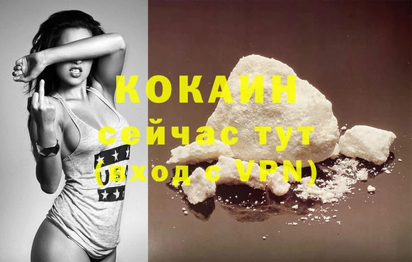 эйфоретик Гусев