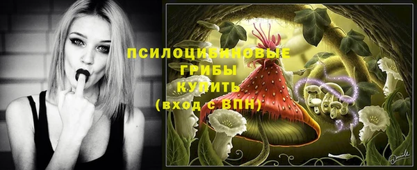 эйфоретик Гусев