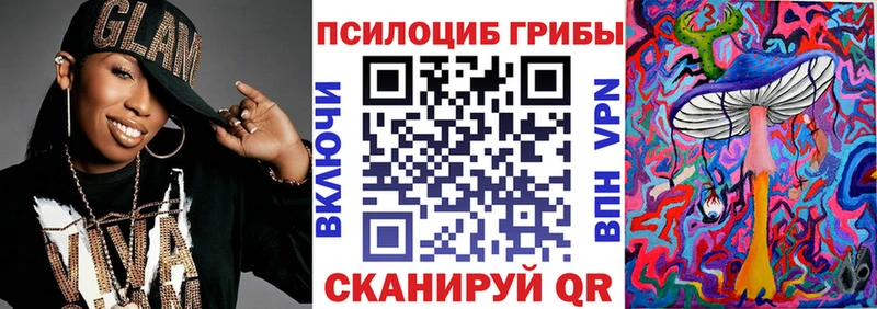 Галлюциногенные грибы Psilocybe  Москва 